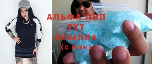 экстази Арсеньев