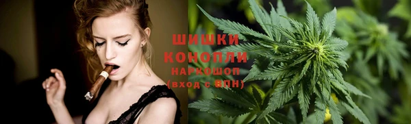 сатива Долгопрудный