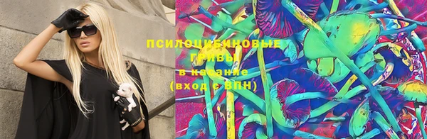 mdpv Богородицк