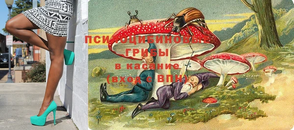шишки Бородино