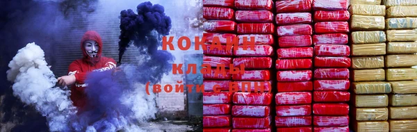 mdpv Богородицк