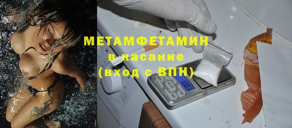 сатива Долгопрудный