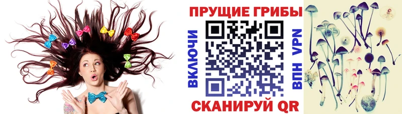 Галлюциногенные грибы Magic Shrooms  дарнет шоп  Давлеканово 